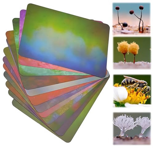 Bunte Makro-Fotografie-Hintergrundkarten – verschwommenes Hintergrundpapier für Studio-Fotografie, lichtabsorbierendes, ökologisches Material für kleine Produkte, Lebensmittel und Schmuckbilder, 12