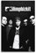 ZHYAZHA Limp Bizkit Vintage-Wandkunst, Leinwand, ästhetisches Poster, Musik und Filme, dekoratives Gemälde für Wohnzimmer, Schlafzimmer, 30 x 45 cm, ungerahmt, 2 Stück