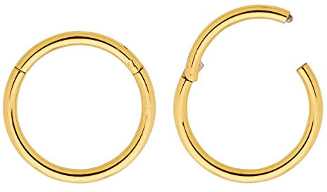 (8mm) Titan 0,8 mm Segment Nasenring Hoop Knorpelohrring Septum Clicker Klappbarer Lippen Conch Daith Helix Rook Tragus Lobe Snug Piercing Schmuck 2 Stck