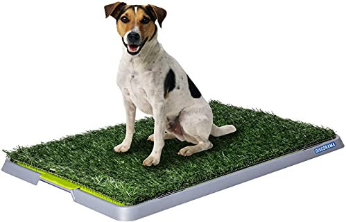 Discorama® - LETTIERA WC per Cani E Gatti Cuccioli Taglia Media con Erba Sintetica Assorbente Ottima per ADDESTRAMENTO 3 Strati BY Potty Patch