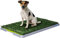 Discorama® - LETTIERA WC per Cani E Gatti Cuccioli Taglia Media con Erba Sintetica Assorbente Ottima per ADDESTRAMENTO 3 Strati BY Potty Patch