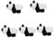 TOYANDONA 5 Braccialetti Di Peluche A Forma Di Animale Braccialetti Decorativi Giocattoli Di Sollievo Calmante A Forma Di Panda Per Halloween