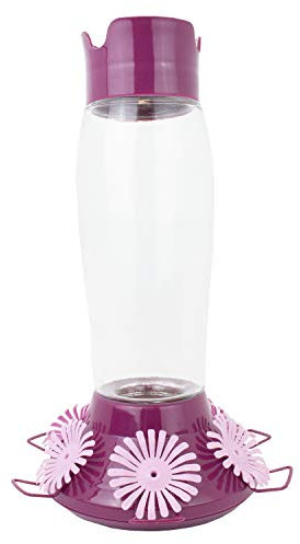 Perky-Pet 9203-1SR Top Fill Glas Kolibri-Vogelfutterstation, Violett