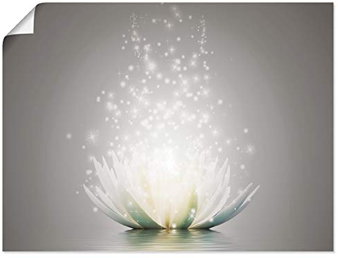 ARTland Wanddeko Poster & Kunstdrucke Wandposter 80x60 cm Blumen Lotusblume Blüte Natur Seerose Abstrakt Kunst S7FD