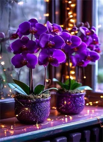 Puzzle 150 Teile, Lila Phalaenopsis Orchidee Puzzle Erwachsene, Herausforderndes Rätsel, Klassische Puzzles 35x25 cm, Geschicklichkeitsspiel für die ganze Familie