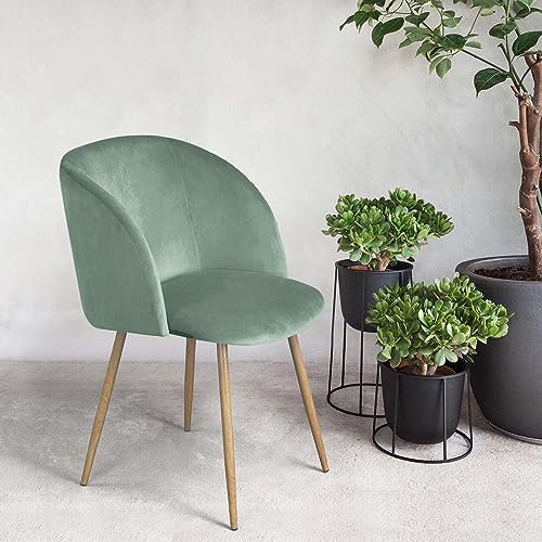 ReseeZac Sedia da pranzo europea Sedia da cucina Sedia da soggiorno Sedia da trucco Sedia da salotto per ristorante cucina soggiorno ufficio camera da letto, sedile in velluto, Verde erba