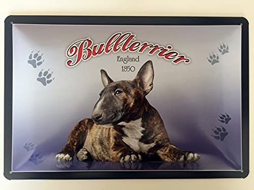 Metall Schild 20x30cm Bullterrier Hund Blechschild