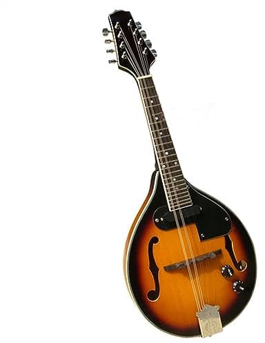 Professional 8-string Electro-acoustic Full Single Mandolin Instrument With ABS Hard Case Mandolin for Student
