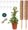 HEPODA 2 Piezas Tutores para Plantas 40cm Tutor Fibra de Coco Soporte Plantas Trepadoras Tutores para Monstera Potos Tótem de Coco Interior Casa Jardín (40cm x2)