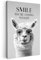MuchoWow© Impression sur Toile Photo Peinture 20x30 cm Tableau Decoration Murale Chambre Salon Maison Deco Cuisine Citations - Lama - Sourire - Toilette - Gris