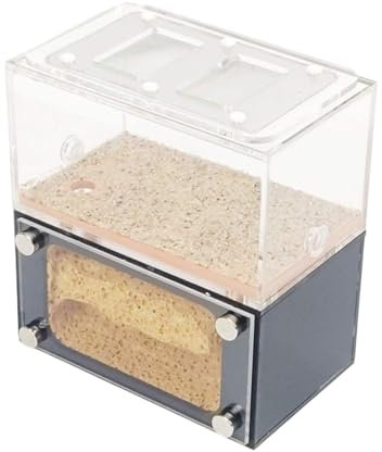 MOBAAK Ameisenfarm Ameisen Farm Ant Castle Mit Fütterungsbereich Acryl Ant Nest Farm Leicht Zu Beobachten Workshop Ant Terrarium Pädagogisches Ameisenfarm Erwachsener