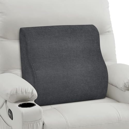TANYOO Rückenkissen Lendenwirbelstütze für Sofa, Autositz, Rollstuhl Lendenwirbelkissen für Menschen unteren Rückenschmerzen mit Memory Schaum Ergonomisches Lendenkissen Waschbarer Bezug Dunkelgrau