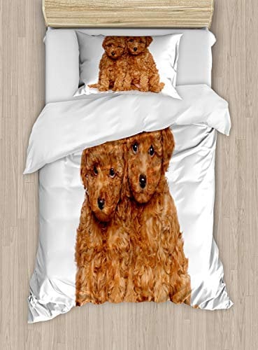 ABAKUHAUS Pudel Bettbezugs Set für Einzelbetten, Welpen Gemütlich Posing Foto, Milbensicher Allergiker geeignet mit Kissenbezug, 130 x 200 cm, Braun Sand