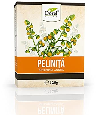 Einjährige Beifuß (Artemisia annua) getrocknete Pflanze 120 Gramm, 14 x 14 cm