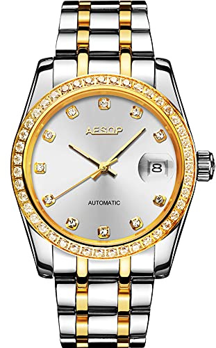 Aesop Automatikuhren Mechanische Herrenuhren Gold Luxus Kleid Analog Selbstaufzug Armbanduhren Kalender wasserdichte Edelstahl Saphiruhr für Herren 9042(Silber/Silber)