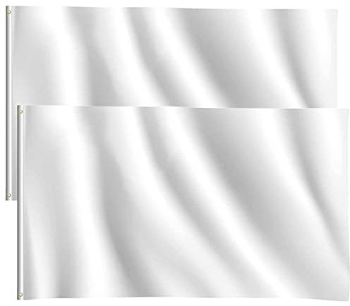 2pcs Blank White Flags DIY 5ft x 3ft Banners Pennant Double Stitched Vivid Color Plain Flags Polyester Decoration for Garden Room Game Parade Sport Events Festival Party 90 X 150cm with Brass Grommets