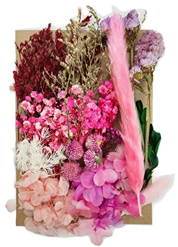 Natürliche Getrocknete Blumen,DIY Gepresste Blumen,Echte Getrocknete Gepresste Blumen,Trockenblumen Resin,Trockenblumen Set,Getrocknete Blumen für Kunst DIY Harz Scrapbooking Handwerk Karten Machen