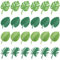 Suuwwn Calamite Frigorifero,24 Pcs Calamite Piccole con Foglie Tropicali,Calamite per Lavagna Magnetica