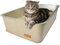 Petriumph® Katzenklo XXL aus Edelstahl | Katzentoilette Groß für Große Katzen und Kleine Katzen | Stilvoller Cat Litter Box | Katzenklo hoher Rand | Katzenklo XXL Modern