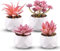 4 Pièces Mini Succulentes Artificielles, avec Pot de Fleurs Plantes Artificielles, Plastique Fausse Plante Bureau, Fausses Plantes D'Intérieur, Chambre à Coucher, Salon, Décoration de Bureau