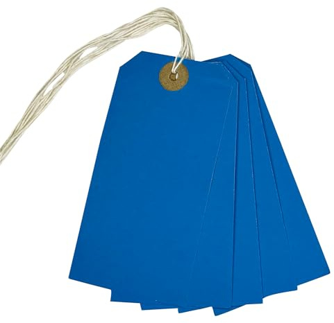 Box of 1000 Blue Strung Tags 120mm x 60mm