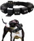 Walktime Taktisches gewichtetes Hundehalsband – Gewichte für Training und Bewegung – kleine, mittelgroße und große Hunde