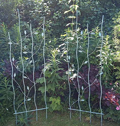 Inspirational Gifting a Pair of Beautiful Verdigris Metal Trellis Plant Support Panels with Decorative Leaves and Birds - New This Season! BA35