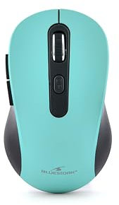 Bluestork - Souris sans Fil Rechargeable, Silencieuse, Récepteur USB, 2,5 Ghz, Souris sans Fil, 6 Boutons, Design Ergonomique, 800-1600 Dpi, Compatible Pc, Mac, Ordinateur Portable (Vert)