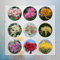 6 Pcs Lycoris Radiata Zwiebeln, Spinnenlilie Kaufen Zwiebeln, Blumenzwiebeln Frühblüher, Hydrokultur Pflanzen Spinnenlilie Zwiebeln, Blumen Geschenk, Deko Wohnzimmer Winterharte Kübelpflanzen