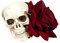 Haarspange Mit Totenkopf Rose Der Toten Totenkopf Seitenclip Für Erwachsene Damen Kostüm Kopfschmuck Partyzubehör