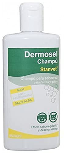 STANGEST DERMOSEL CHAMPU 250ML