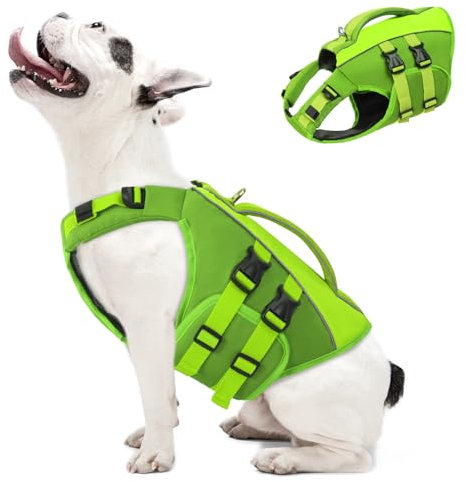 Qeenmore Salvagente Cane Taglia Media - M Verde, Regolabile, Con D-Ring, Galleggiabilità Extra, Per Bulldog Francese, Bassotto