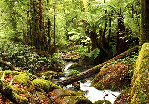 decomonkey Fototapete Wald Natur, 350x256 cm, XL, Wasserfall Landschaft