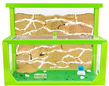 AntHouse - Fourmilière Naturelle en Sable 3D | Kit L (Sandwich + Caisse de Fourrage) | Ferme de Fourmis Vert | Colonie de Fourmis Incluse