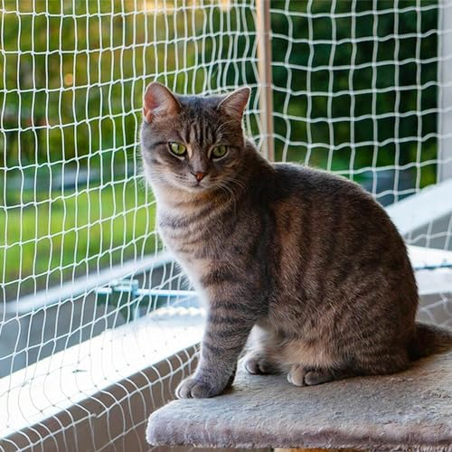 Katze Balkon Netz Katzennetz Balkonschiene Netz Katze PET Balkon Anti Fall Netz Katzenzaun Netze Transparent Nylon Haustier Mesh Zaun Anti Fall Netz für Balkon Fenster Treppen (3,0 x 6,1 m, Weiß)
