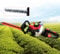 2 Stroke Petrol Hedge Trimmer - 22.5 cc Garden Hedge Pruner 56cm Long Reach Petrol Pole Hedge Trimmer With Double-Sided Manganese Steel Blade Petrol Garden Trimmer For Trimming Garden Hedges Bushes