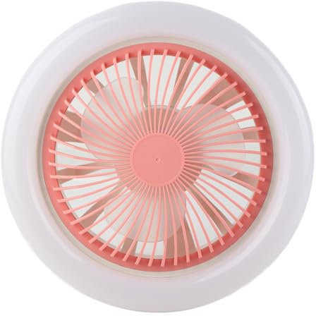 Lwuey Mini Ceiling Fans with Lights, E27 Bulb Socket Fan 10 Inch Small Silent Fan 2400lm 6000K White Light 3 Gear Positions Bedroom Bathroom Kitchen Living Room Garage Compact Space Closet