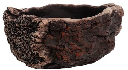 Cabilock Kleiner Sukkulententopf Aus Zement Rustikaler Bonsai Blumentopf Künstlerisches Pflanzgefäß Für Innenbereich Kompakte Größe Wiederverwendbar