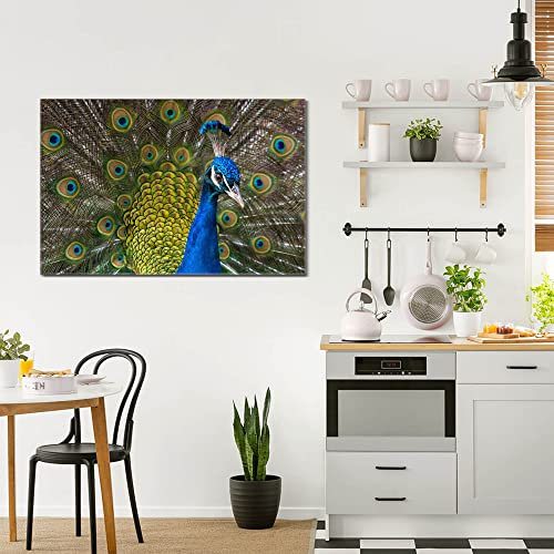 banjado® Glas Bild 75x50cm mit Motiv Pfau als Wandbild für Wohnzimmer/Küche/Büro - Wohnzimmer Bild aus ESG Sicherheitsglas kratzfest mit geschliffenen Kanten - Glasbild groß als Wand Bild