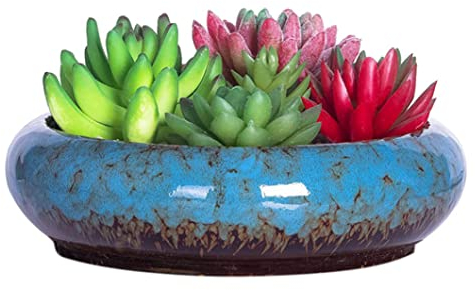 Sukkulenten Blumentopf Groß Bonsai Topf Pflanztopf Indoor Kaktus Pflanztopf mit Drainageloch Keramik Kaktus Pflanztopf für Innen Außen