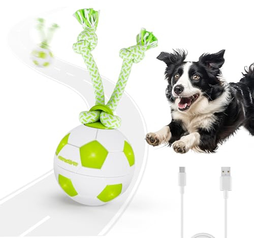 ALL FOR PAWS Interaktiver Hundeball, Automatischer Selbstrollender Hundeball mit Drehbewegung & Seil, USB wiederaufladbar, interaktives Spielzeug für kleine, mittelgroße und große Rassen (Basketball)