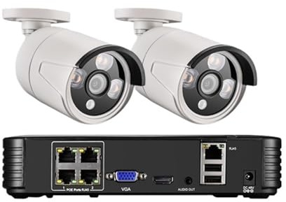 H.265 5MP HD CCTV-System Gesichtserkennung wasserdichte Bullet-Sicherheits-IP-Kamera for Den Außenbereich 8CH POE NVR Videoüberwachungskit Bewegungserkennung(1T,4CH NVR and 2 Camera)