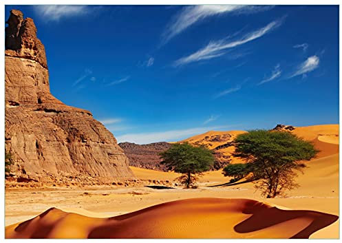 Wallario Glasbild In der Wüste Sahara - 70 x 100 cm Wandbilder Glas in Premium-Qualität: Brillante Farben, freischwebende Optik