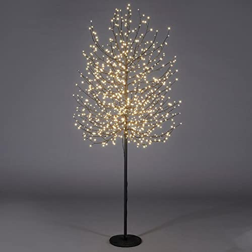 Magie di Natale Albero luminoso Faggio tronco lungo rami a microled luce calda da interno ed esterno (210 cm, Nero)