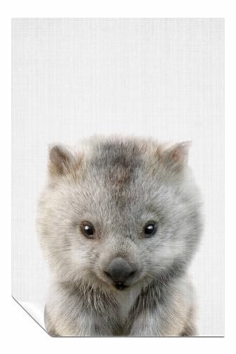 Peekaboo Baby Wombat ungerahmter Posterdruck, Bilder für Zuhause, Wände, Schlafzimmer, Wohnzimmer und Badezimmer, 31 x 20 cm