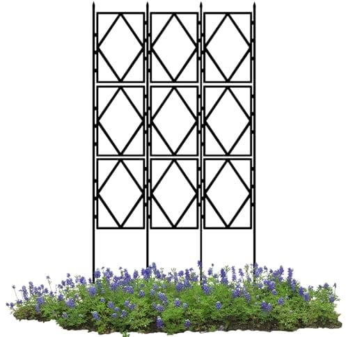 Pflanzenspalier, geeignet für Klettern von Topfpflanzen auf dem Balkon und für Klettern von Bodenpflanzen, für Klettern und Befestigen von Weinreben, Rosen und anderen Kletterblumen – Schwarz(W60xH120