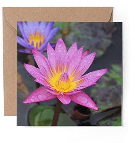 1 x Grußkarte (Fotoeinsatz) – Panama Pacific Seerose Blume – blanko Geburtstagskarte Jahrestag #45985