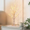 2FT White Birch Tree with Lights, Tabletop Christmas Tree with 24 Warm White LEDs, Battery/USB Powered, Decorative Lighting for Indoor Christmas, Parties, Home, Weddings, and Easter