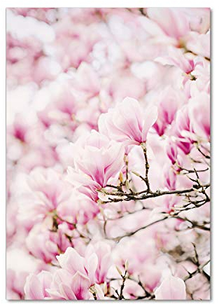 Tulup Glas-Bild Wandbild aus Glas - Wandkunst - Wandbild hinter gehärtetem Sicherheitsglas - Dekorative Wand für Küche & Wohnzimmer 70x100 - Blumen & Pflanzen - Magnolie Blumen - Rosa