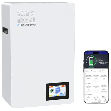EconomiPower Lifepo4 51.2V 200Ah(205Ah) Akku zur Wandmontage, 10.24kWh Solarspeicher, 8000+ Zyklen, 48V wiederaufladbare Lithium-Batterie mit 200 A BMS für Photovoltaikanlage, Heimgebrauch, Notfall